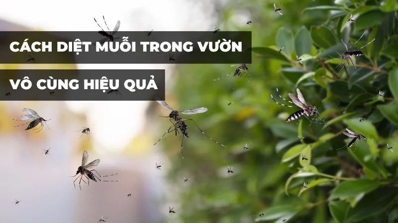 Cách đuổi côn trùng trong vườn hiệu quả và an toàn