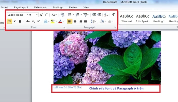 Cách Ghi Chú Thích Dưới Ảnh trong PowerPoint