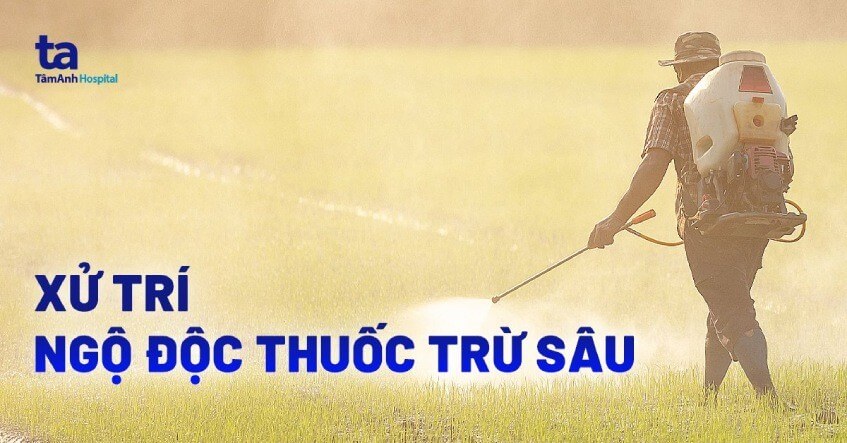 Cách Giải Độc Khi Hít Phải Thuốc Trừ Sâu