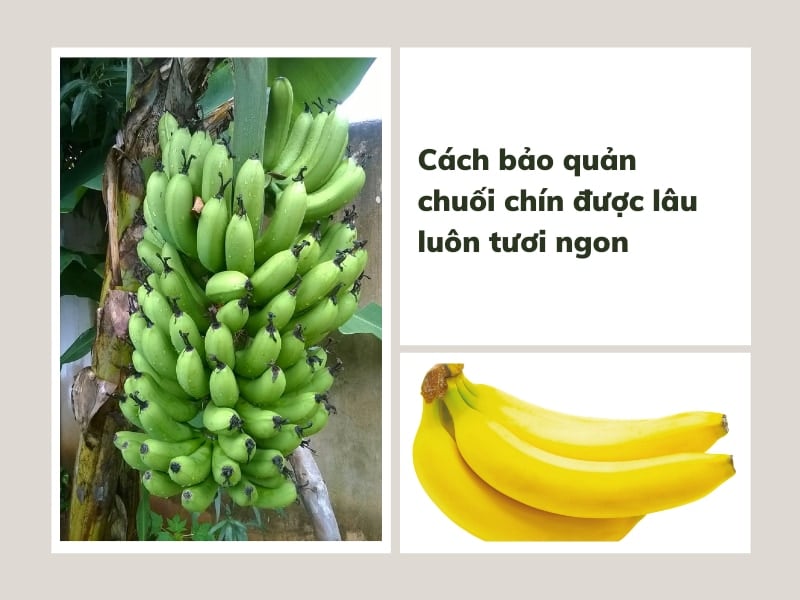 Cách Giữ Chuối Chín Được Lâu Gallery 2