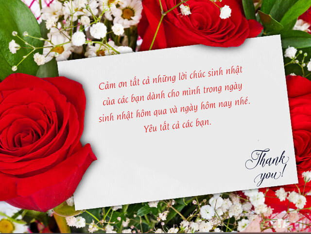 Gửi lời cảm ơn chân thành đến mọi người Gallery 2