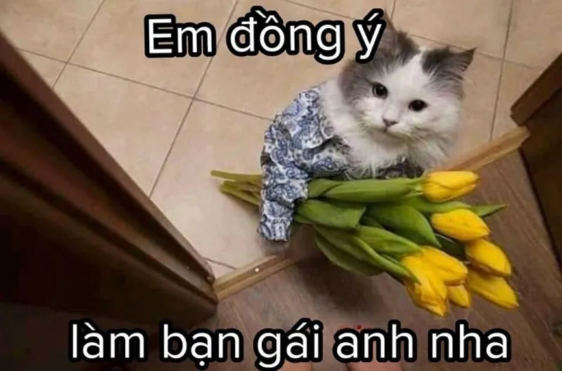 Tỏ Tình Meme: Hướng Dẫn Chi Tiết và Tuyệt Chiêu Thành Công Gallery 2