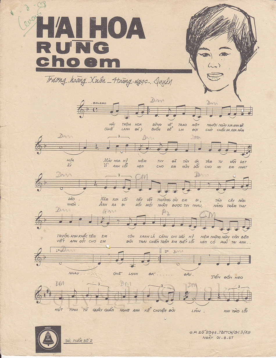 Hái Hoa Rừng Cho Em Gallery 2