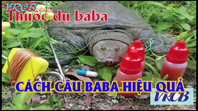 Tưởng Hát Dụ Nê Ba Ba Gallery 2