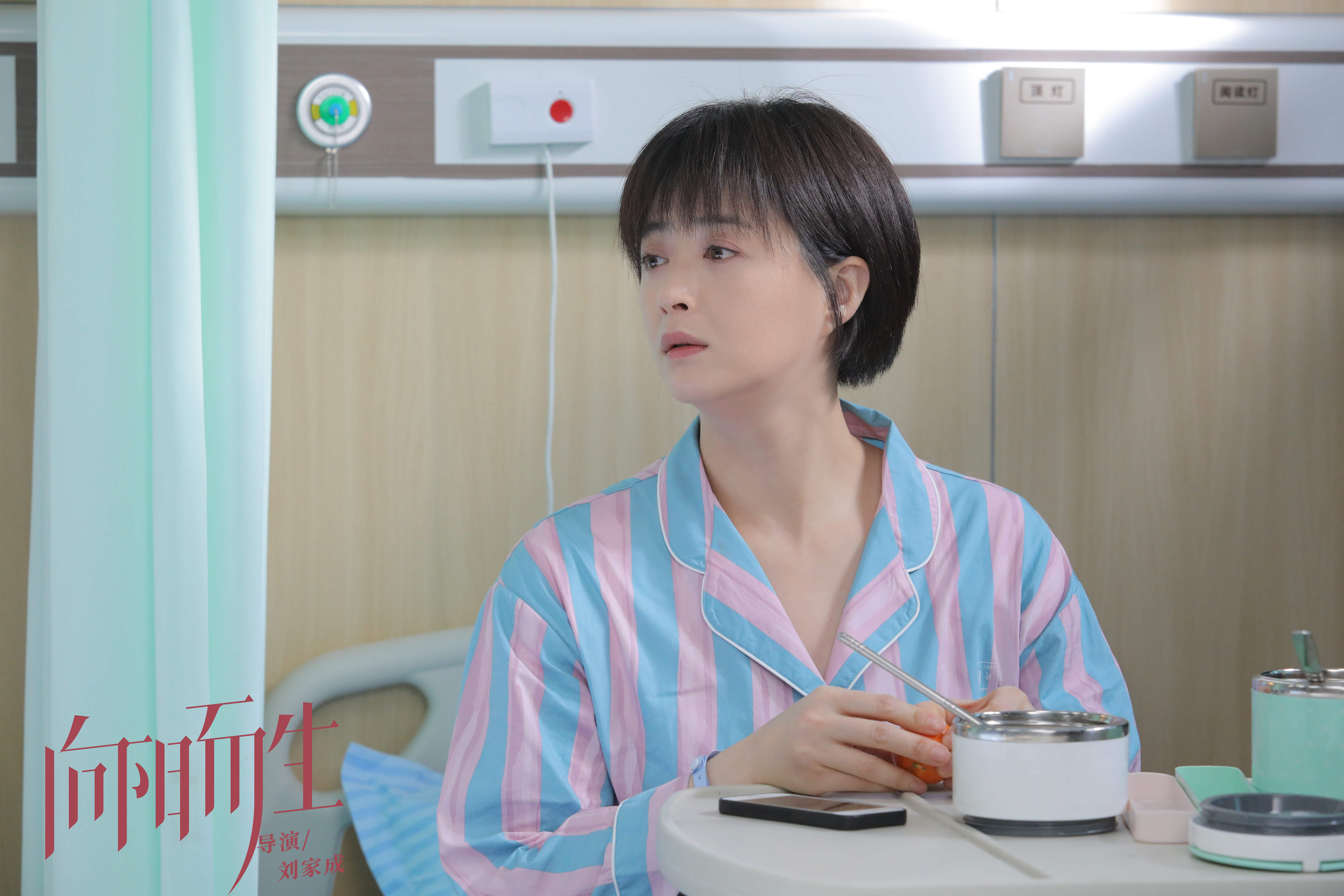 Hướng Tới Mặt Trời: Lời Khuyên và Hướng Dẫn Gallery 2