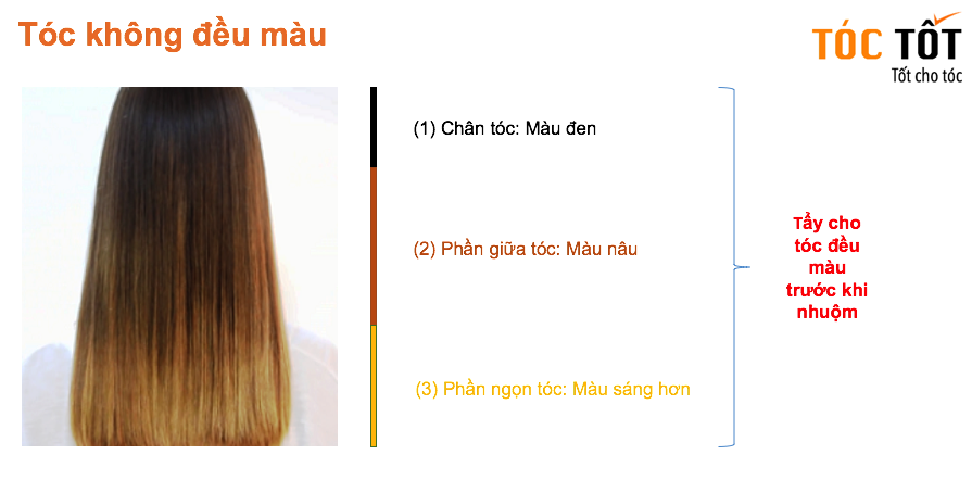 Chân tóc sáng màu hơn đuôi tóc: Nguyên nhân và cách khắc phục Gallery 2