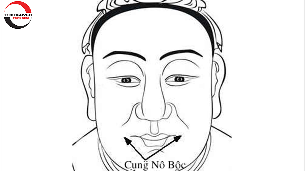 Cung Nô Bộc Trên Mặt Gallery 2