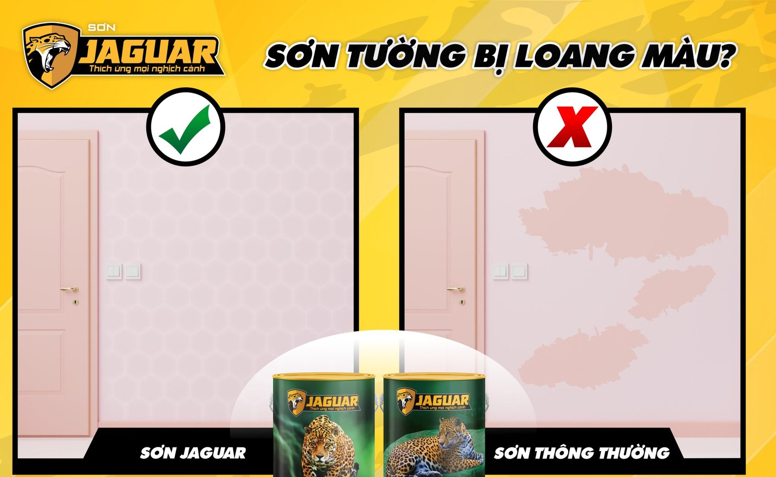Loang Lỗ Là Gì? Nguyên Nhân Và Cách Khắc Phục Gallery 2