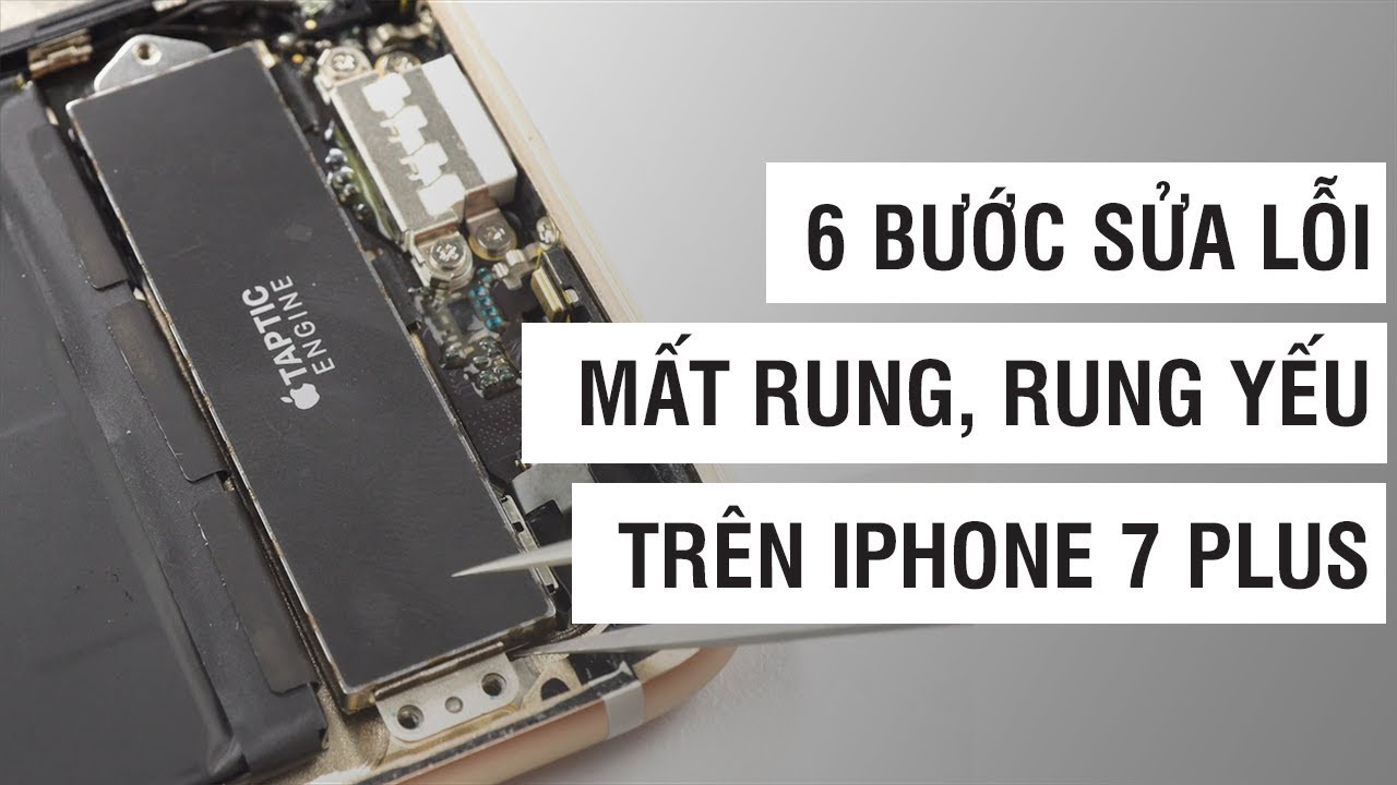 7 Plus Mất Rung: Nguyên Nhân và Cách Khắc Phục Gallery 2