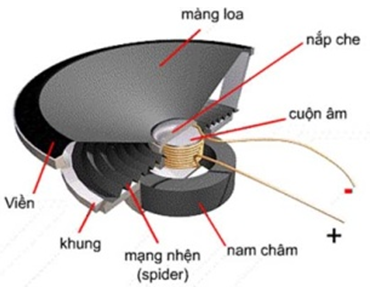 Cách Làm Loa Hết Rè Gallery 2