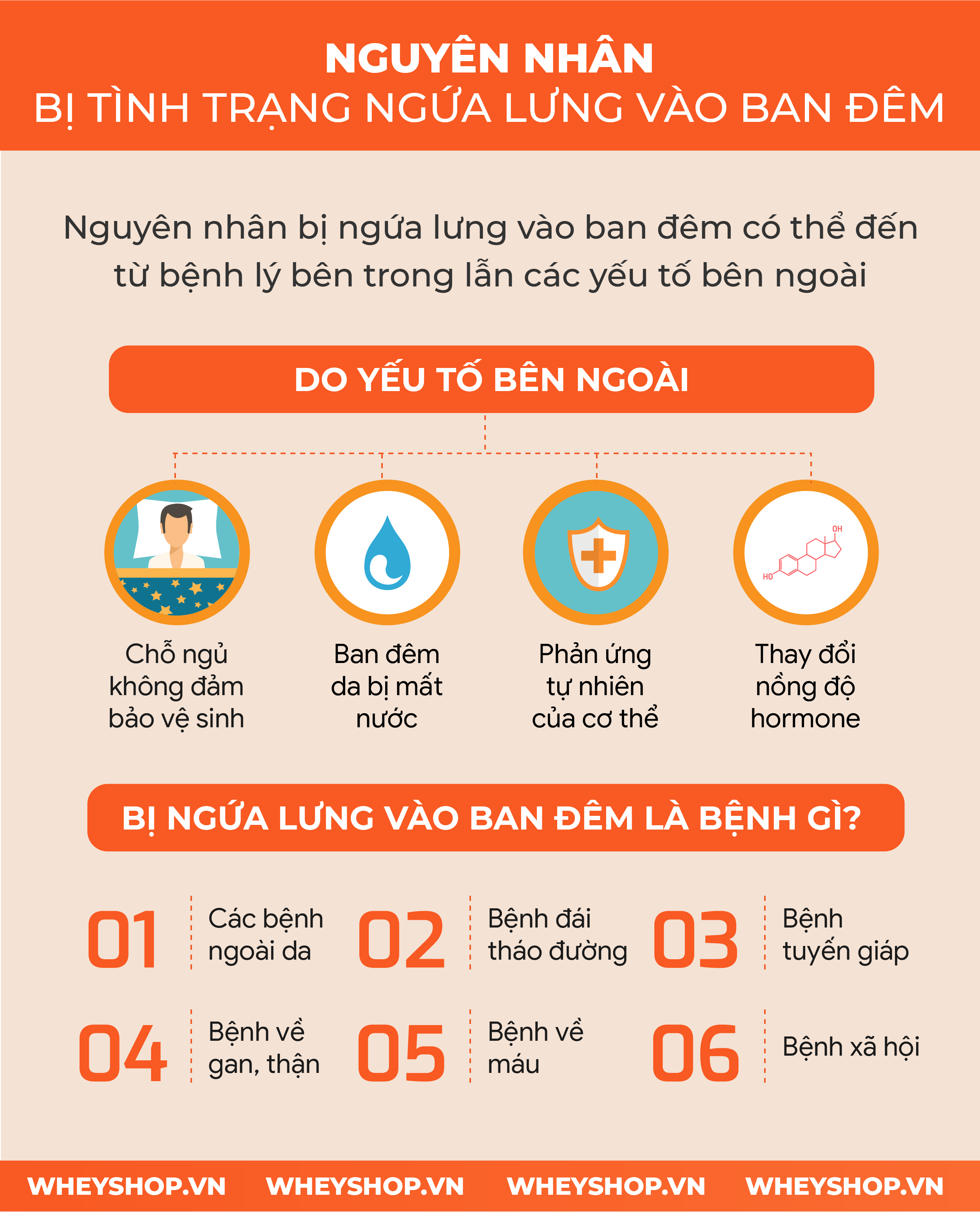 Ngứa Lưng Vào Ban Đêm: Nguyên Nhân và Cách Khắc Phục Gallery 2