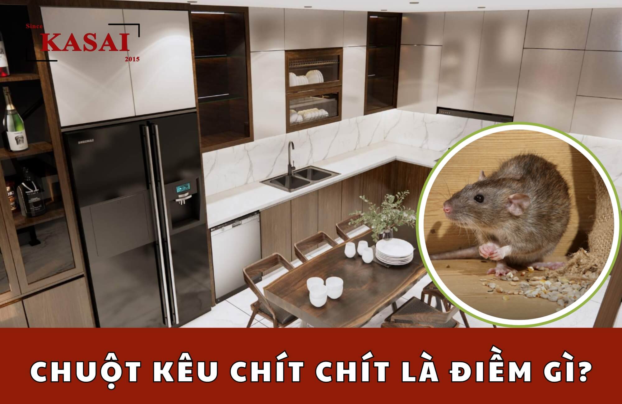 Chuột Kêu Ban Đêm: Nguyên Nhân và Cách Khắc Phục Gallery 2