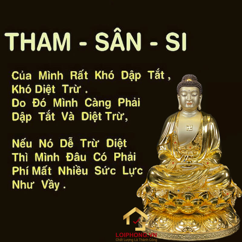 Sân Si Là Gì? Gallery 2