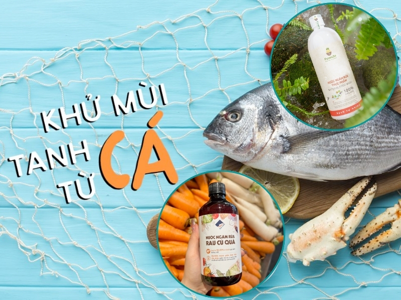 Thế nào là đồ tanh? Gallery 2