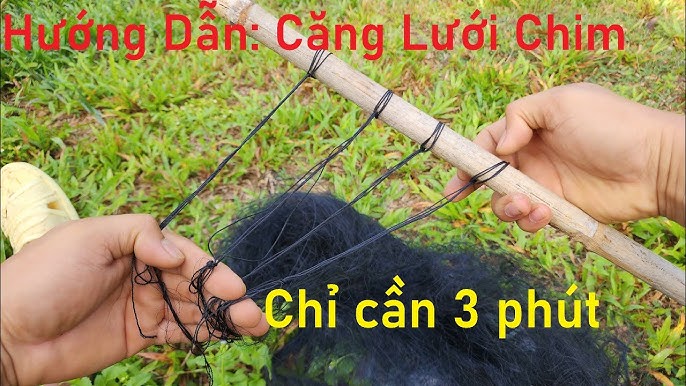 Cách Làm Bẫy Chim Đơn Giản Gallery 2