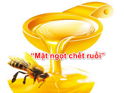 Mật Ngọt Chết Ruồi: Bí Quyết Thu Hút Và Tiêu Diệt Ruồi Hiệu Quả Gallery 1
