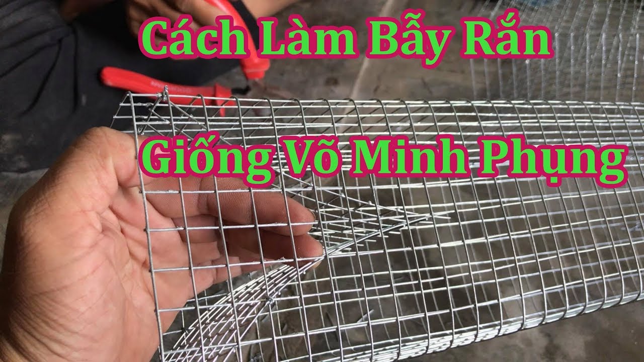 Cách Làm Bẫy Rắn Hiệu Quả