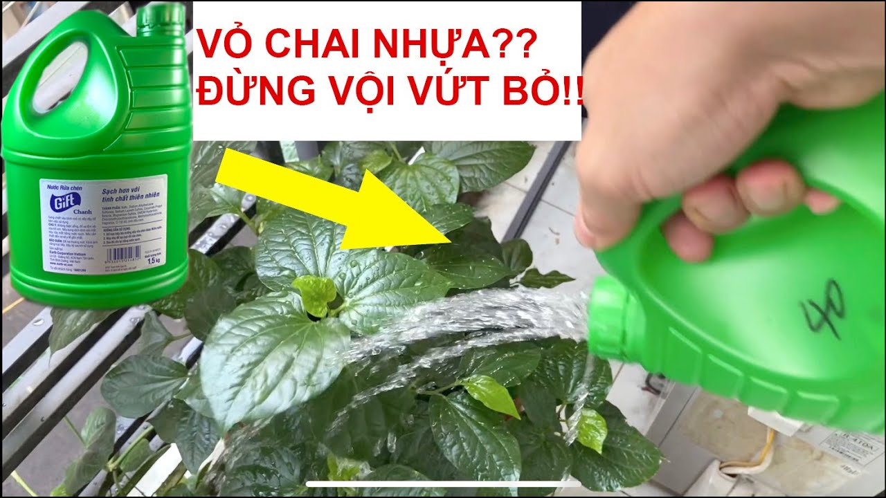 Cách Làm Bình Tưới Cây Bằng Chai Nhựa