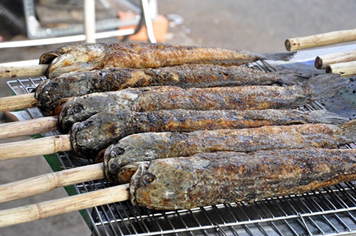Cách Làm Cá Lóc Nướng Than