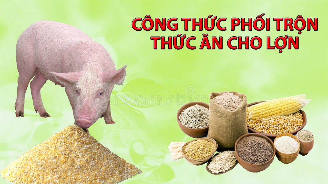 Công thức làm cám viên cho lợn Gallery 2