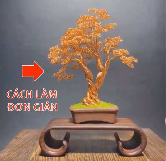 Cách Làm Cây Cảnh Đẹp Mắt Và Sống Mãi
