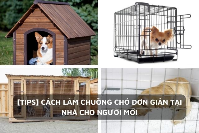 Cách Làm Chuồng Chó Đơn Giản