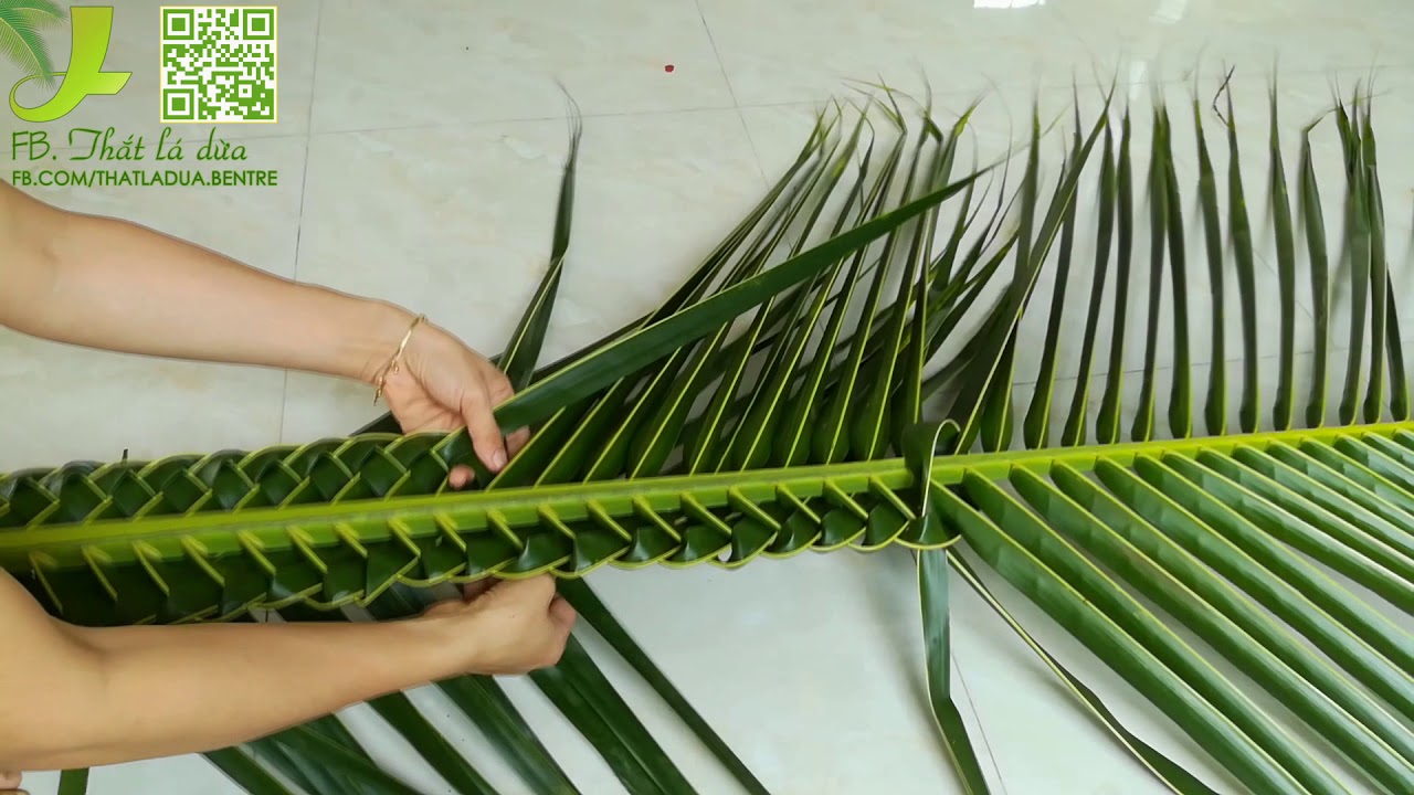 Cổng Lá Dừa Đơn Giản Gallery 1