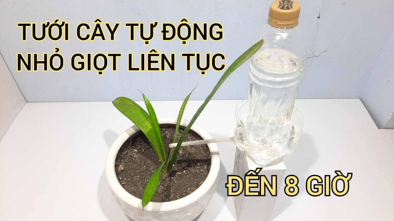 Tưới nhỏ giọt tự chế: Hướng dẫn chi tiết, tiết kiệm nước và hiệu quả Gallery 2