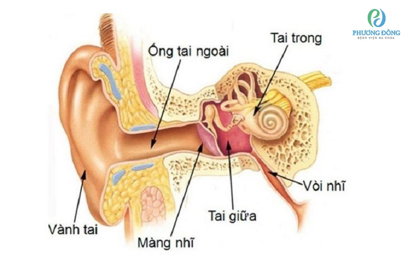 Cách Làm Hết Ù Tai Khi Đi Máy Bay