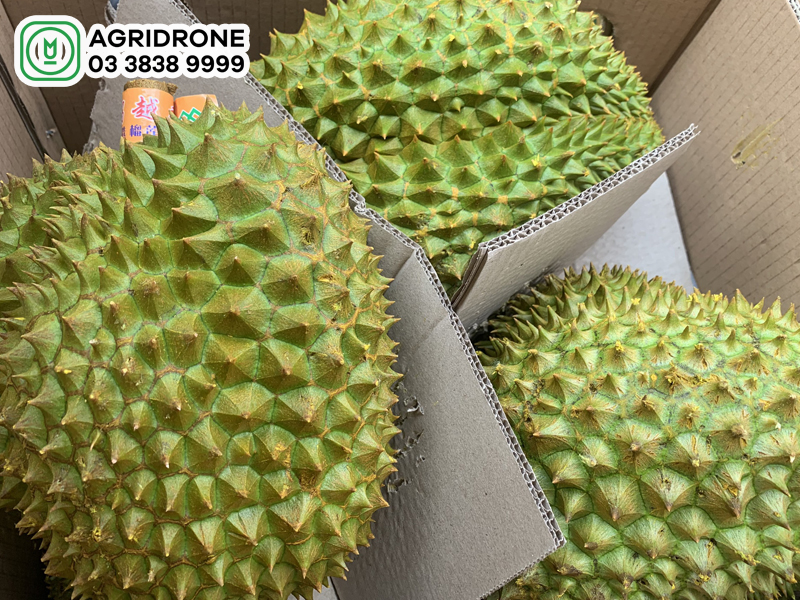 Cách Làm Sầu Riêng Nhanh Chín