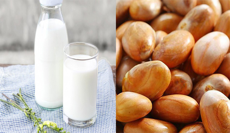 Cách Làm Sữa Hạt Mít Ngon Bổ Dưỡng Tại Nhà