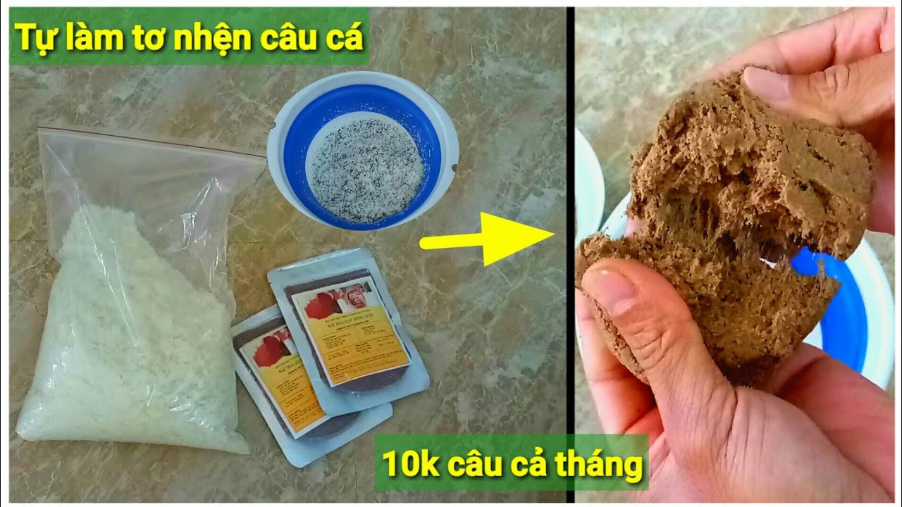 Cách Làm Tơ Nhện Câu Cá Hiệu Quả