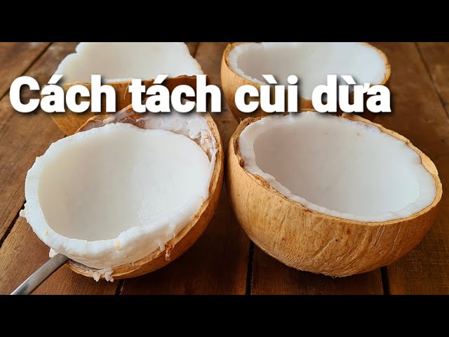 Cách Lấy Cùi Dừa Nhanh Chóng Và Hiệu Quả