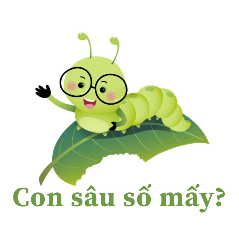 Con Ve Sầu Đánh Số May Gallery 2