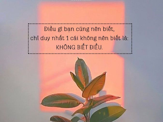 Những Câu Tiểu Sử Ngầu - Thu hút mọi ánh nhìn Gallery 2
