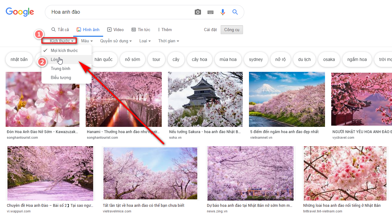 Hình ảnh minh họa chất lượng cao cho website của bạn Gallery 2