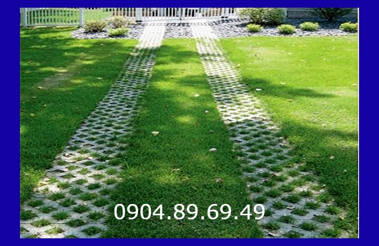 Gạch Số 8 Trồng Cỏ: Giải Pháp Hoàn Hảo Cho Sân Vườn Xanh Mát Gallery 2