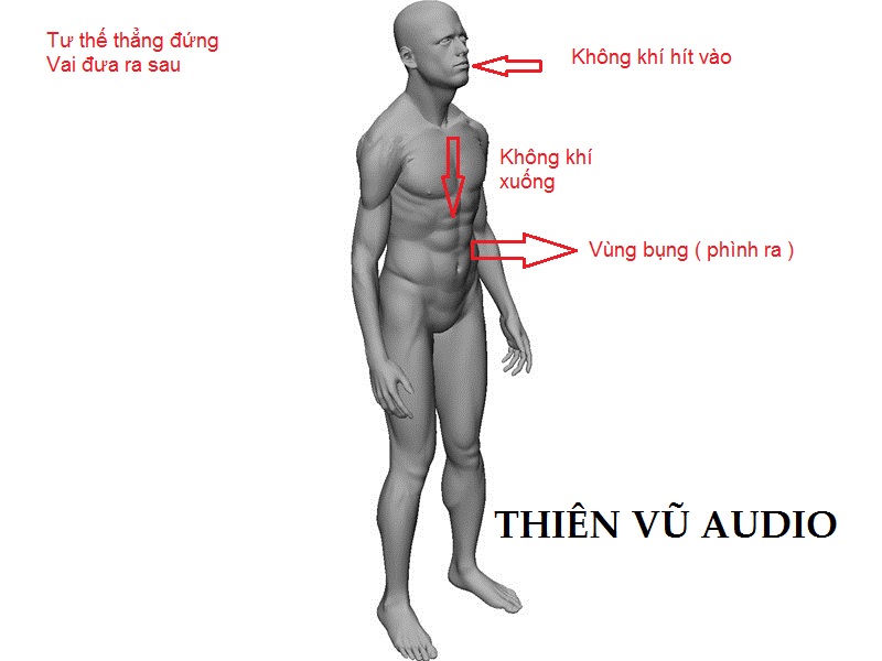 Cách Luyện Giọng Hay Gallery 2