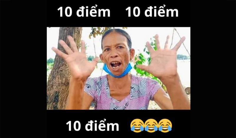 Ai mà biết được meme? Gallery 2