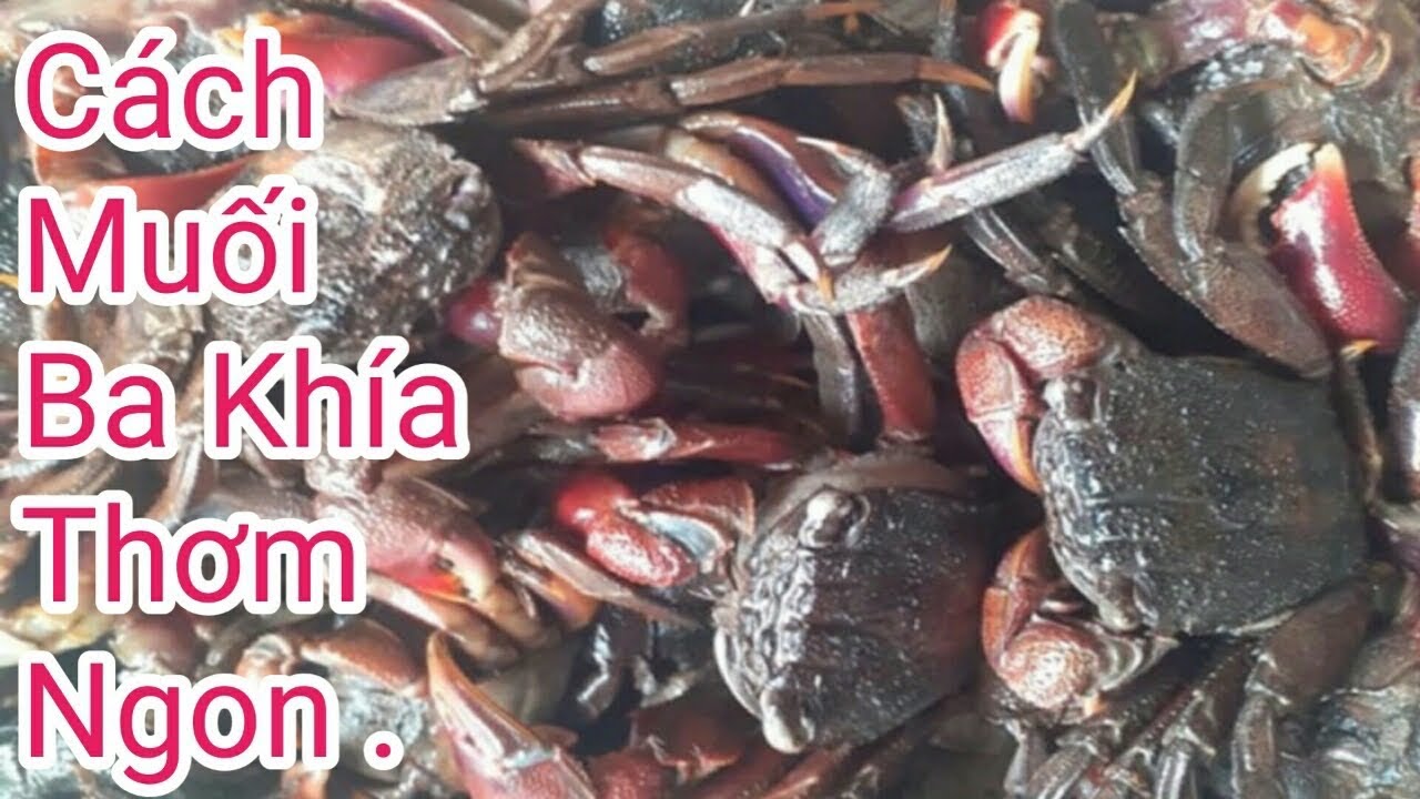 Cách Muối Ba Khía Ngon Đơn Giản Tại Nhà