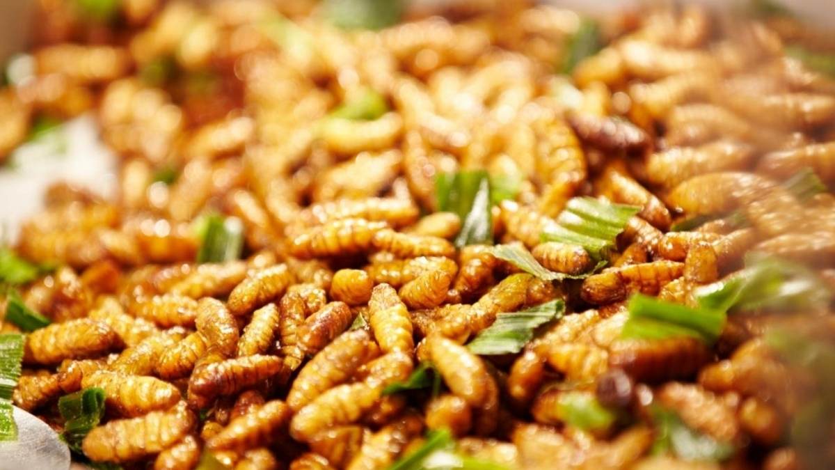 Cách Nấu Nhộng Ong Ngon Tuyệt Đối