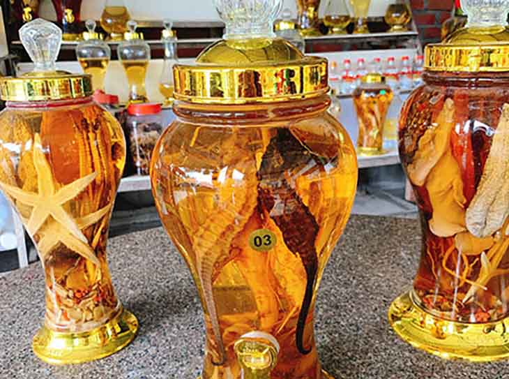 Cá Ngựa Ngâm Với Gì Thì Tốt? Gallery 1