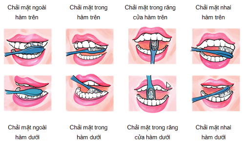 Ngậm gì để răng chắc khỏe? Gallery 1