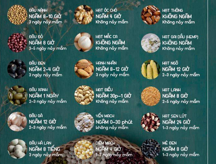 Làm sữa hạt bằng hạt sống hay chín? Gallery 2