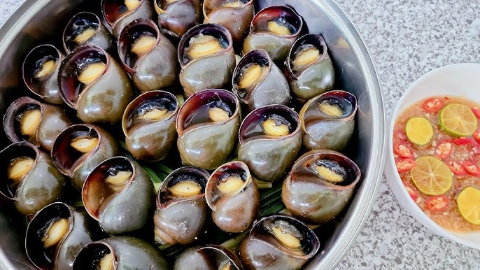 Cách Ngâm Ốc Qua Đêm Đơn Giản, Hiệu Quả Gallery 2