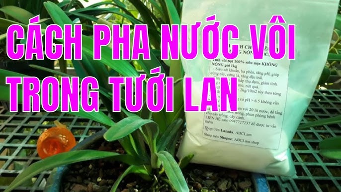 Cách Ngâm Vôi Tưới Cây Hiệu Quả, An Toàn
