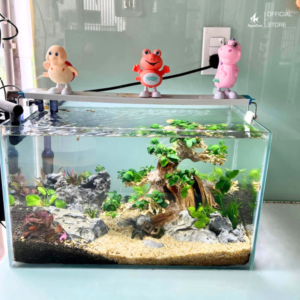 Cá Nhảy Ra Khỏi Bể: Nguyên Nhân và Cách Khắc Phục Gallery 2