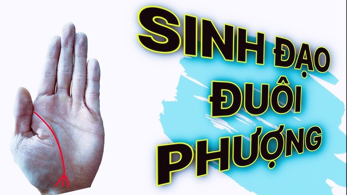 Chỉ Tay Đuôi Phượng Là Gì? Ý Nghĩa Và Cách Nhận Biết Gallery 2