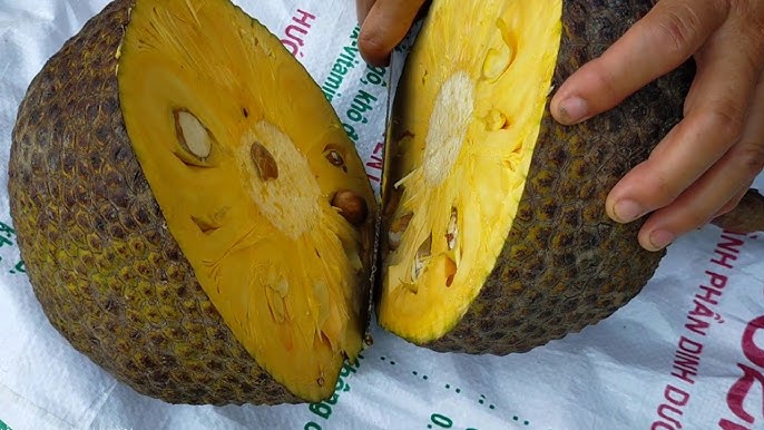 Cách Nhận Biết Mít Thái Chín