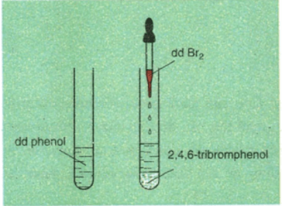 Cách Nhận Biết Phenol